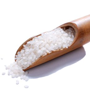 歷史變革